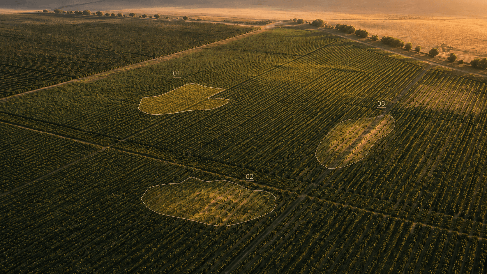 Top-down drone scan of a field showing variation zones